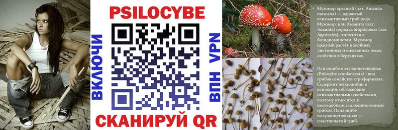 Псилоцибиновые грибы ЛСД  Великий Устюг 