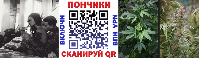 Конопля тримм  Великий Устюг 